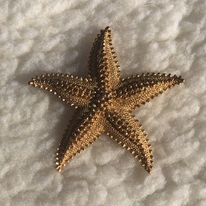 Golden Starfish Brooch